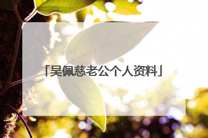 吴佩慈老公个人资料