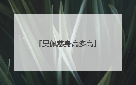 吴佩慈身高多高