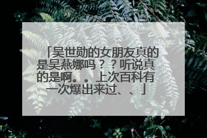 吴世勋的女朋友真的是吴燕娜吗？？听说真的是啊。。上次百科有一次爆出来过、、