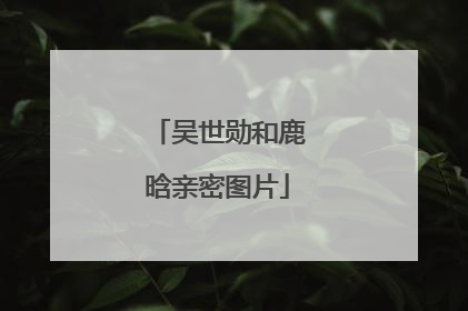 吴世勋和鹿晗亲密图片