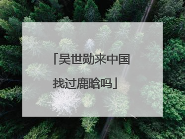 吴世勋来中国找过鹿晗吗