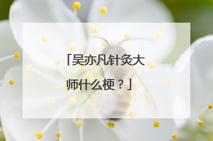 吴亦凡针灸大师什么梗?