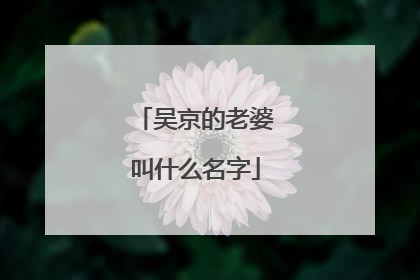 吴京的老婆叫什么名字