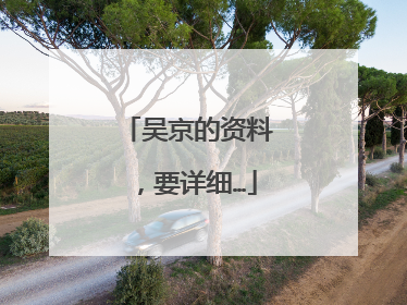 吴京的资料,要详细…