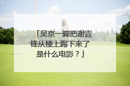 吴京一脚把谢霆锋从楼上踢下来了是什么电影?