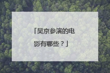 吴京参演的电影有哪些？