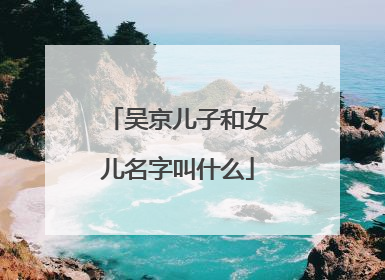 吴京儿子和女儿名字叫什么