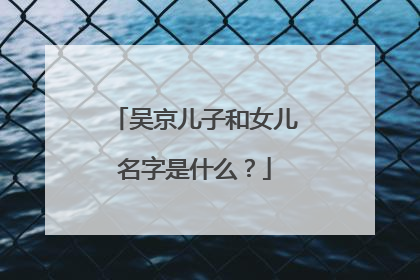 吴京儿子和女儿名字是什么？