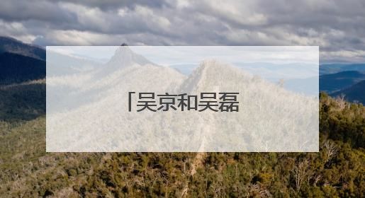 吴京和吴磊什么关系?