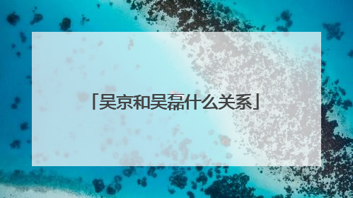 吴京和吴磊什么关系