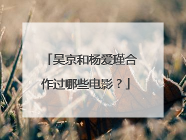 吴京和杨爱瑾合作过哪些电影?