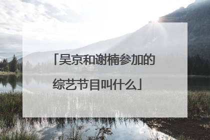 吴京和谢楠参加的综艺节目叫什么