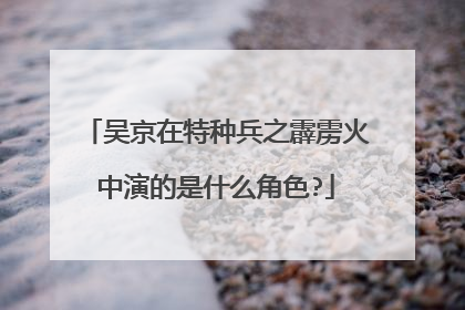 吴京在特种兵之霹雳火中演的是什么角色?