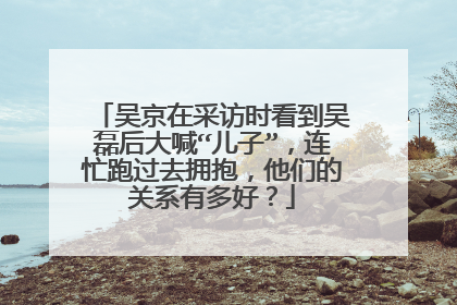 吴京在采访时看到吴磊后大喊“儿子”，连忙跑过去拥抱，他们的关系有多好？