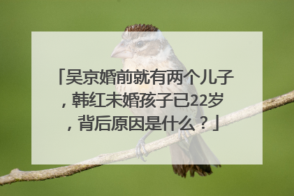 吴京婚前就有两个儿子,韩红未婚孩子已22岁,背后原因是什么?