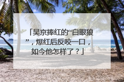 吴京捧红的“白眼狼”,爆红后反咬一口,如今他怎样了?
