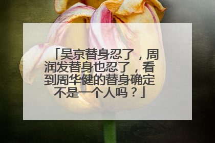 吴京替身忍了,周润发替身也忍了,看到周华健的替身确定不是一个人吗?