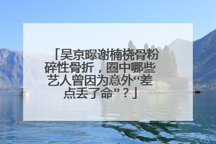 吴京曝谢楠桡骨粉碎性骨折，圈中哪些艺人曾因为意外“差点丢了命”？
