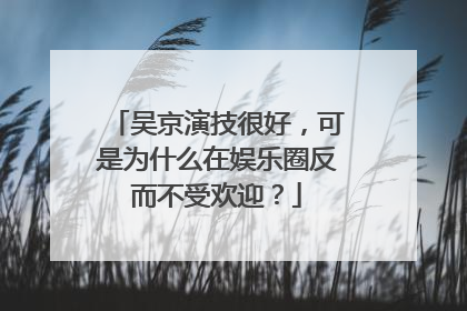 吴京演技很好,可是为什么在娱乐圈反而不受欢迎?