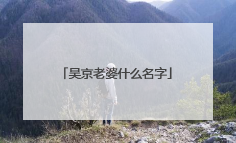 吴京老婆什么名字