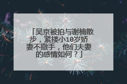 吴京被拍与谢楠散步，紧搂小10岁娇妻不撒手，他们夫妻的感情如何？