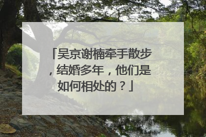 吴京谢楠牵手散步，结婚多年，他们是如何相处的？