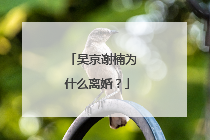 吴京谢楠为什么离婚？