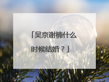 吴京谢楠什么时候结婚？