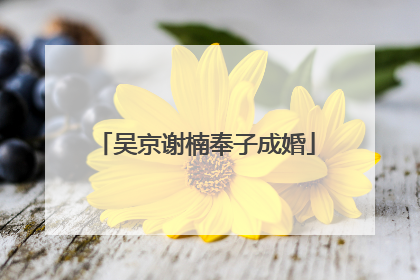 吴京谢楠奉子成婚