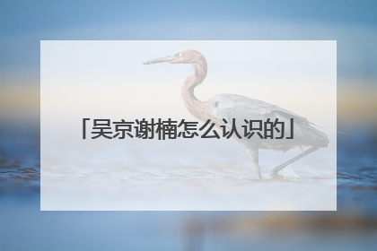 吴京谢楠怎么认识的