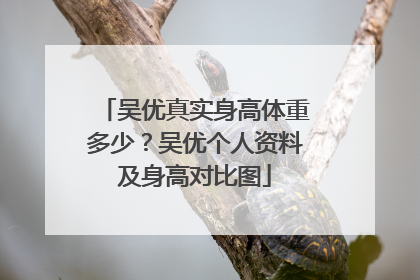 吴优真实身高体重多少？吴优个人资料及身高对比图