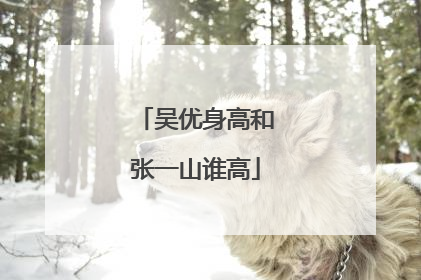 吴优身高和张一山谁高