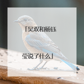 吴双和杨钰莹说了什么