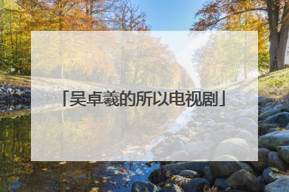 吴卓羲的所以电视剧