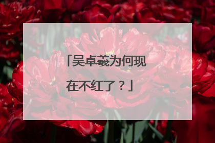 吴卓羲为何现在不红了？