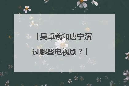 吴卓羲和唐宁演过哪些电视剧?