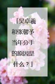 吴卓羲和张馨予当年分手的原因是什么？