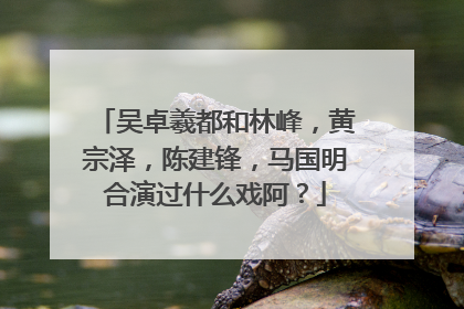 吴卓羲都和林峰，黄宗泽，陈建锋，马国明合演过什么戏阿？