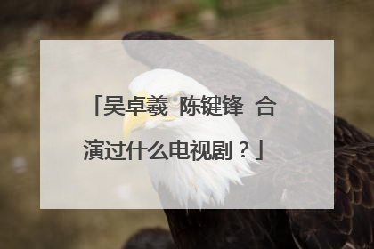 吴卓羲 陈键锋 合演过什么电视剧？