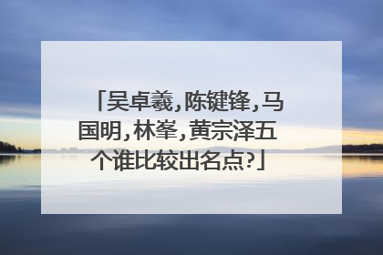 吴卓羲,陈键锋,马国明,林峯,黄宗泽五个谁比较出名点?
