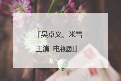 吴卓义、米雪主演 电视剧