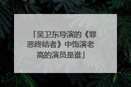 吴卫东导演的《罪恶终结者》中饰演老高的演员是谁