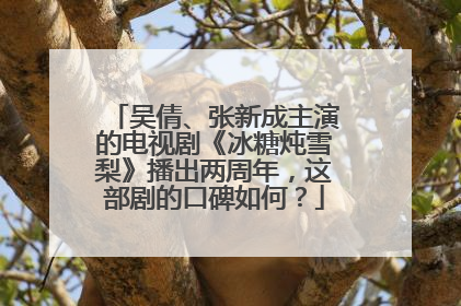 吴倩、张新成主演的电视剧《冰糖炖雪梨》播出两周年，这部剧的口碑如何？