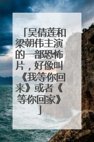 吴倩莲和梁朝伟主演的一部恐怖片,好像叫《我等你回来》或者《等你回家》