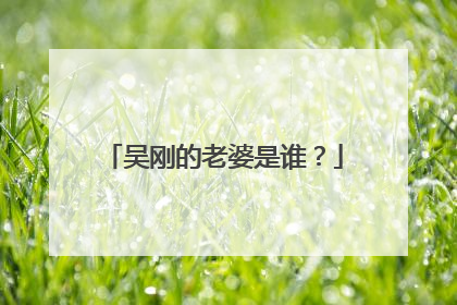 吴刚的老婆是谁？