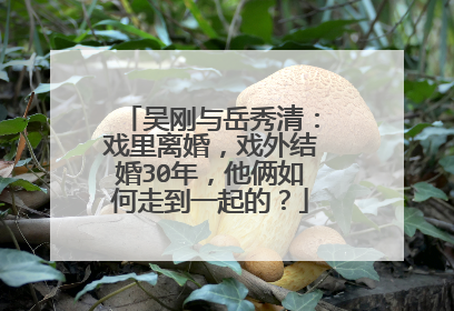 吴刚与岳秀清：戏里离婚，戏外结婚30年，他俩如何走到一起的？