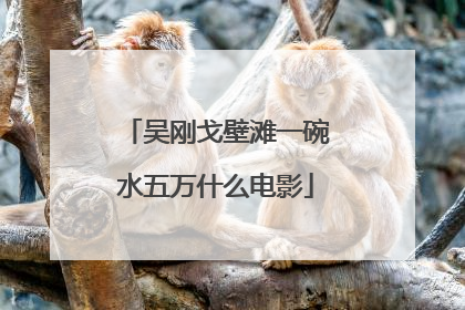 吴刚戈壁滩一碗水五万什么电影