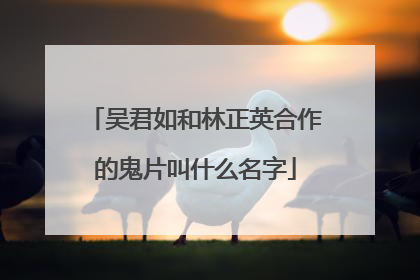 吴君如和林正英合作的鬼片叫什么名字