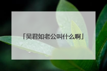吴君如老公叫什么啊
