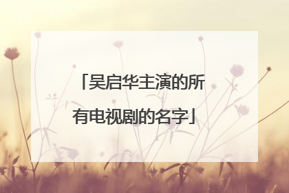 吴启华主演的所有电视剧的名字